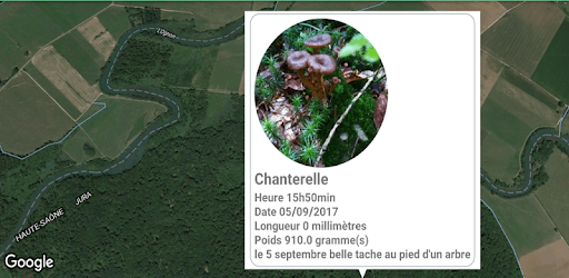 GeoMushroom - Mushroom picking Mycology pc screenshot GeoMushroom - Mushroom picking Mycology pc screenshot