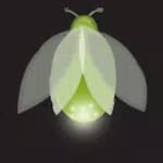 萤火虫vpn-免费翻墙神器-无需注册（比Psiphon蓝灯天行自由门SuperVPN更好用） icon