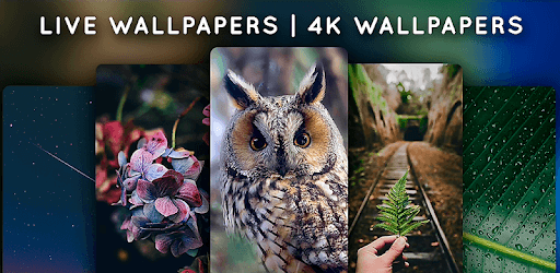 Live Wallpapers - 4K Wallpapers pc screenshot Live Wallpapers - 4K Wallpapers pc screenshot
