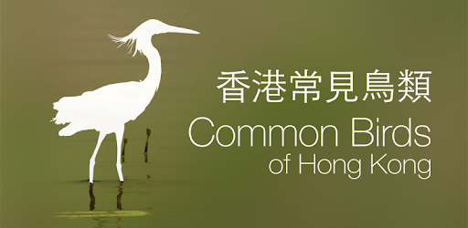 Common Birds of Hong Kong pc screenshot Common Birds of Hong Kong pc screenshot