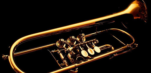 Trumpet Lessons pc screenshot Trumpet Lessons pc screenshot