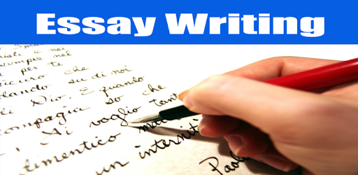 How to Write an Essay pc screenshot