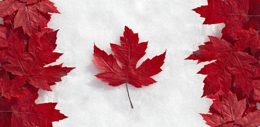 Go Canada Immigration pc screenshot