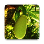 Farmfirst Wholesale icon