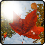 Falling Leaves Free Wallpaper icon