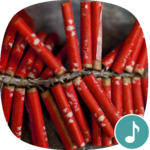 Appp.io - Firecracker Sounds icon