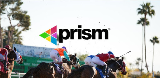 Prism Horse Racing Management pc screenshot Prism Horse Racing Management pc screenshot