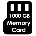 1000GB Memory Card icon