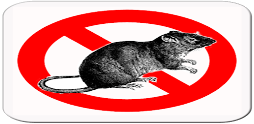 Anti Rat Pro pc screenshot