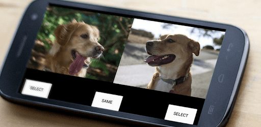 Image Compare for PC - How to Install on Windows PC, Mac