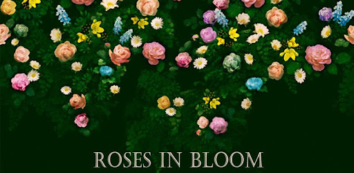 Classy Theme-Roses in Bloom- pc screenshot Classy Theme-Roses in Bloom- pc screenshot