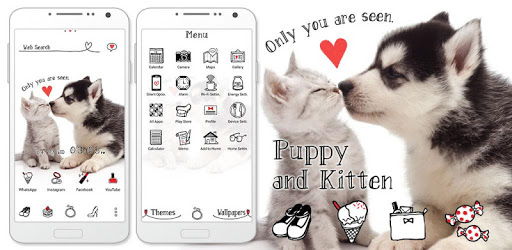 Cute Theme Puppy and Kitten pc screenshot Cute Theme Puppy and Kitten pc screenshot