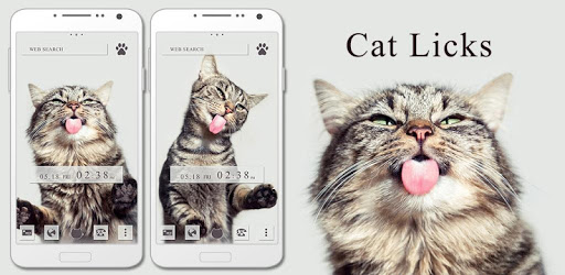 Cute Wallpaper Cat Licks Theme pc screenshot