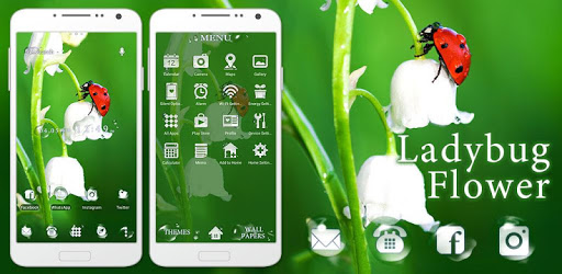 Flower Theme Ladybug Flower pc screenshot Flower Theme Ladybug Flower pc screenshot