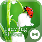 Flower Theme Ladybug Flower icon