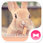 Cute Theme-Rabbit's Lunch- icon