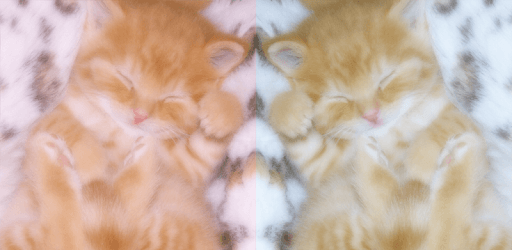 WataameCamera-Soft Photo Editor Like Cotton Candy pc screenshot WataameCamera-Soft Photo Editor Like Cotton Candy pc screenshot
