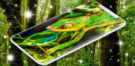 Jungle Live Wallpapers pc screenshot Jungle Live Wallpapers pc screenshot