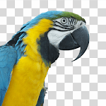Photo Background Eraser - Background Changer icon