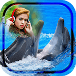 Dolphin Photo Frame icon