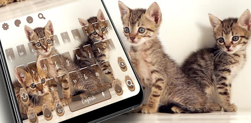 Cute Cat Keyboard pc screenshot