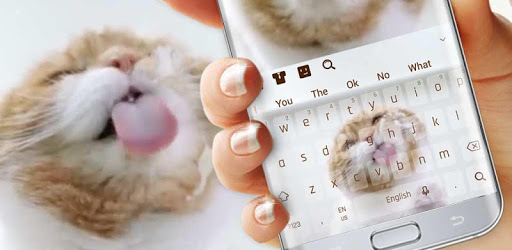 Cute Kitty Live Keyboard pc screenshot