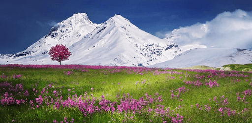 Inspirational Life Messages pc screenshot Inspirational Life Messages pc screenshot