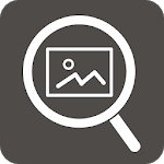 One-Touch Image Search icon