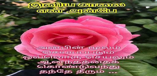 Good Morning Tamil Love Images pc screenshot Good Morning Tamil Love Images pc screenshot