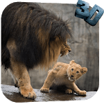 Lion Video Live Wallpaper icon