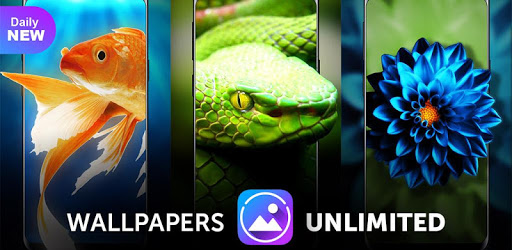Live Wallpapers Unlimited for PC - How to Install on Windows PC, Mac