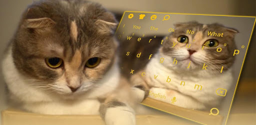 3D Live chubby Cute Kitty Keyboard pc screenshot