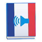Learn Basic French Everyday Conversation Phrases for pc icon