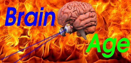 Brain Age Game pc screenshot