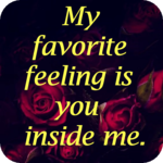 Romantic Love Quotes & Images icon