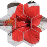 Vistalgy Flip Puzzles icon