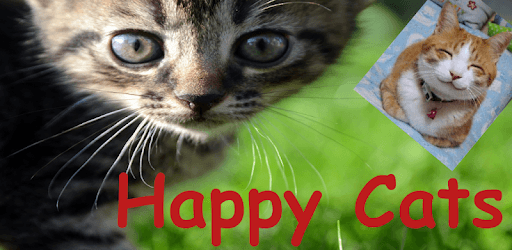 Happy Cats GIF's pc screenshot Happy Cats GIF's pc screenshot