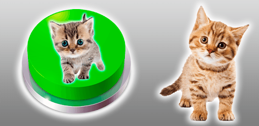 Kitten Cat Meow Button pc screenshot Kitten Cat Meow Button pc screenshot