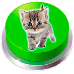Kitten Cat Meow Button icon
