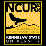 NCUR 2019 icon