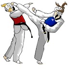 TAEKWONDO ONLINE CLASS icon