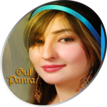 Gul Panra icon