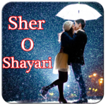 Hindi Sher O Shayari icon