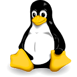SGS kernel flasher icon