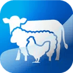 Widam - ودام icon