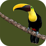 Animals of Costa Rica icon