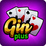 Gin Rummy Plus for pc icon