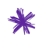 Spark NZ icon