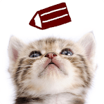 Cat Sticky Note Notepad icon