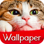 Wallpaper Cat Collection for pc icon